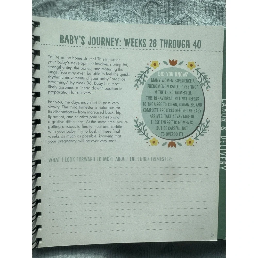 Bump for Joy A Pregnancy Journal Hardcover Beginning to End Keepsake New Other